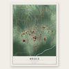 Bruce, Mississippi map print, the full design
