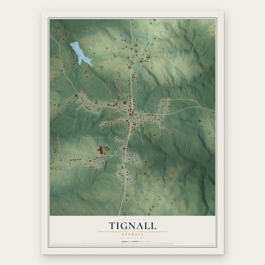 Tignall, Georgia map print, the full design