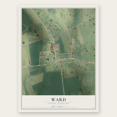 Ward, South Carolina map print, the full design