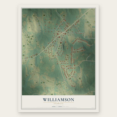 Williamson, Georgia map print, the full design