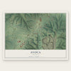 Avoca, Arkansas map print, the full design