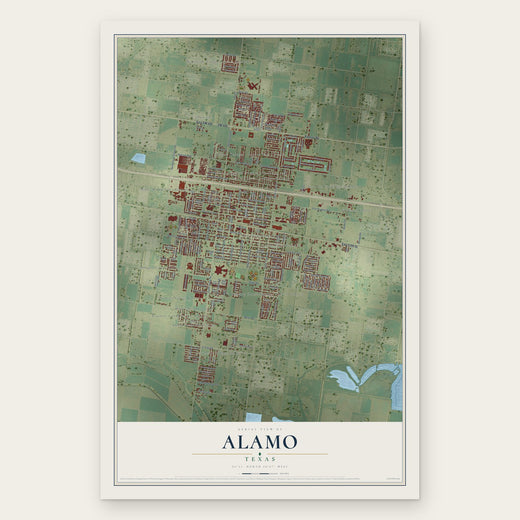 Alamo, Texas map print, the full design
