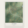 Alvord, Texas map print, the full design