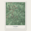 Calera, Alabama map print, the full design