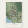 Apopka, Florida map print, the full design
