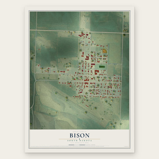 Bison, South Dakota map print, the full design