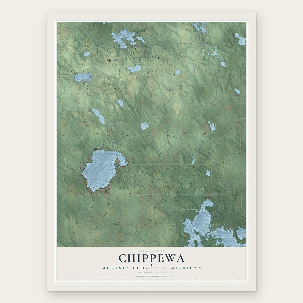 Chippewa, Mecosta County, Michigan map print, the full design