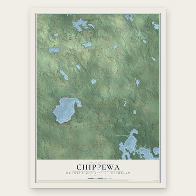 Chippewa, Mecosta County, Michigan map print, the full design