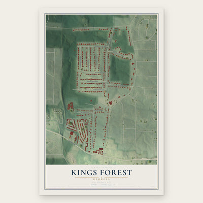 Kings Forest, Georgia map print, the full design
