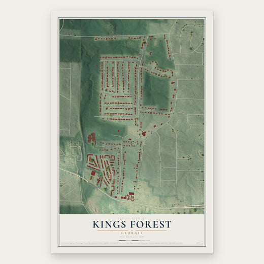 Kings Forest, Georgia map print, the full design
