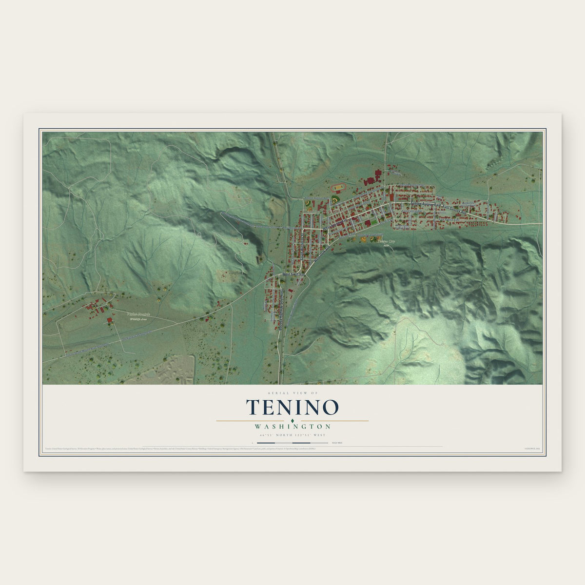 Tenino, Washington map print, the full design
