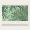 Jasper, New York map print, the full design