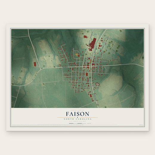 Faison, North Carolina map print, the full design
