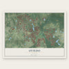 Oviedo, Florida map print, the full design
