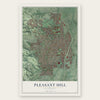 Pleasant Hill, California map print, the full design