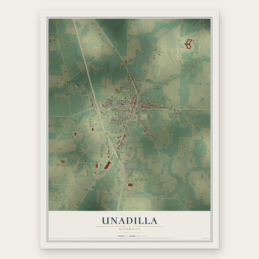 Unadilla, Georgia map print, the full design