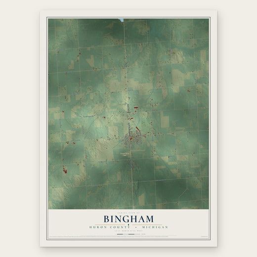 Bingham, Huron County, Michigan map print, the full design