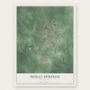 Holly Springs, Mississippi map print, the full design