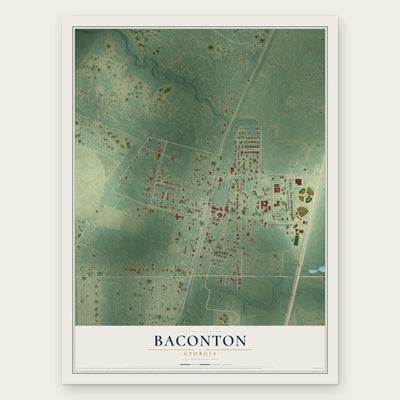 Baconton, Georgia map print, the full design