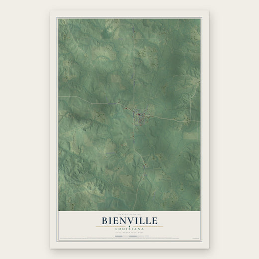 Bienville, Louisiana map print, the full design