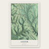 Lester, Alabama map print, the full design