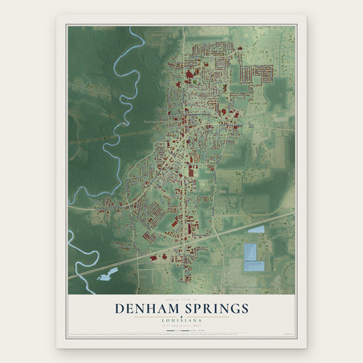 Denham Springs, Louisiana map print, the full design