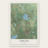Timnath, Colorado map print, the full design