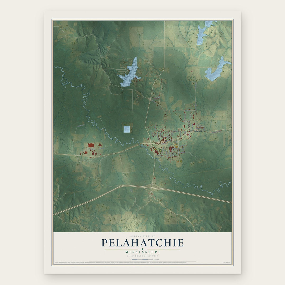 Pelahatchie, Mississippi map print, the full design