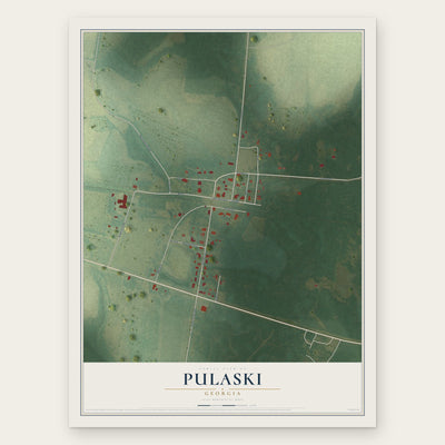 Pulaski, Georgia map print, the full design
