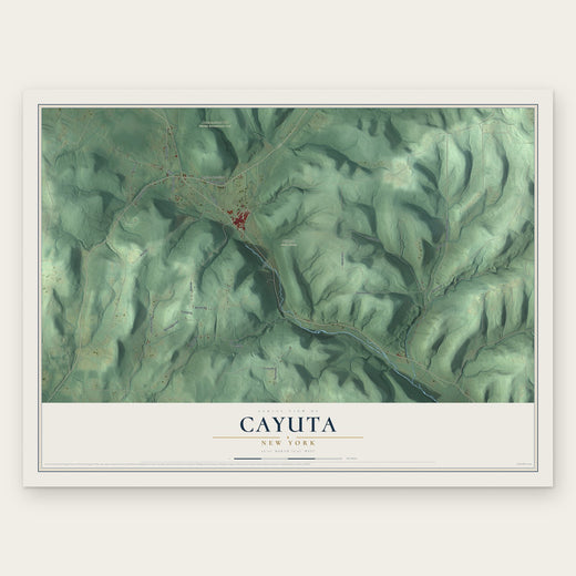 Cayuta, New York map print, the full design