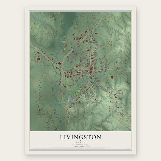 Livingston, Texas map print, the full design