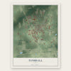 Tomball, Texas map print, the full design