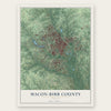 Macon-Bibb County, Georgia map print, the full design