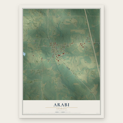 Arabi, Georgia map print, the full design