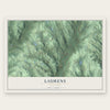Laurens, New York map print, the full design