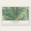 Gainesville, Missouri map print, the full design