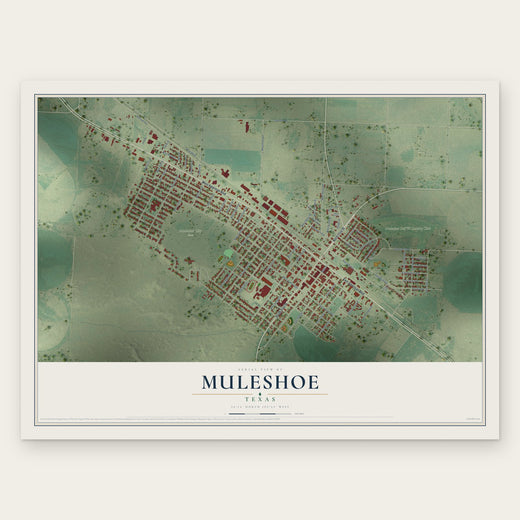 Muleshoe, Texas map print, the full design