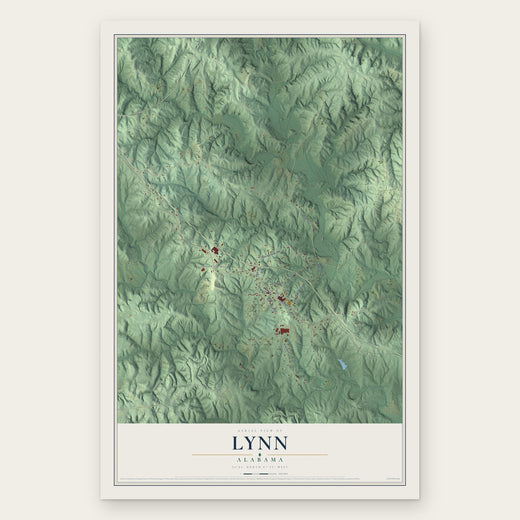 Lynn, Alabama map print, the full design