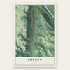 Fairview, Kentucky map print, the full design