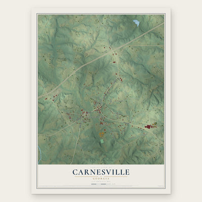 Carnesville, Georgia map print, the full design