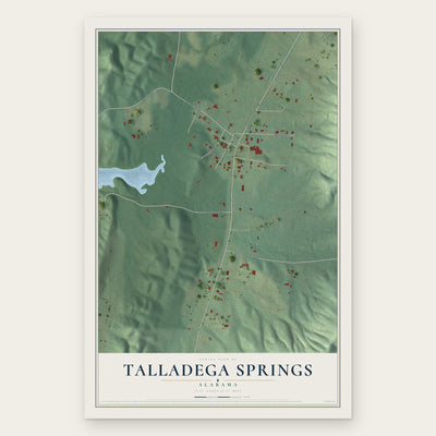 Talladega Springs, Alabama map print, the full design