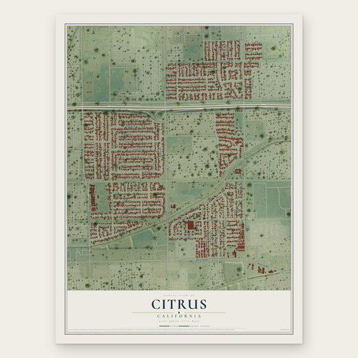 Citrus, California map print, the full design