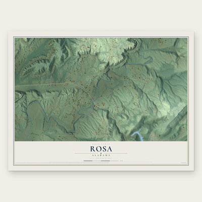 Rosa, Alabama map print, the full design