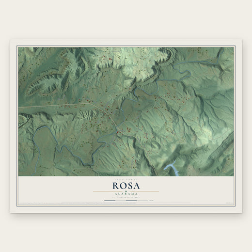 Rosa, Alabama map print, the full design