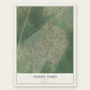 Sandy Oaks, Texas map print, the full design