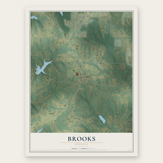 Brooks, Georgia map print, the full design
