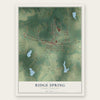 Ridge Spring, South Carolina map print, the full design