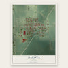 Dakota, Illinois map print, the full design