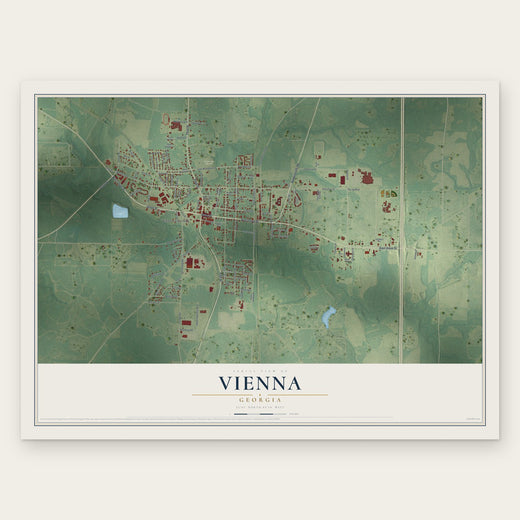 Vienna, Georgia map print, the full design