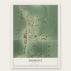 Dumont, Minnesota map print, the full design